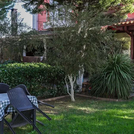 Butterfly Boutique Ağva