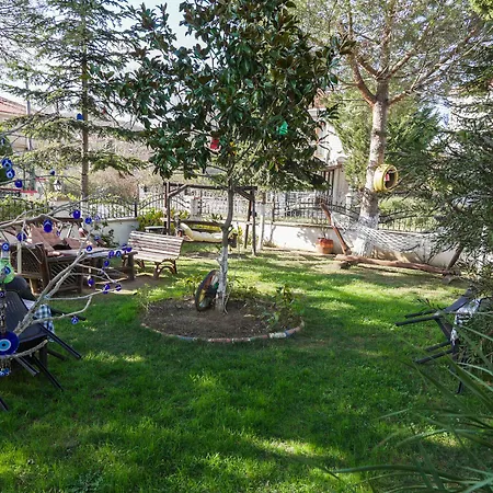 Butterfly Boutique *