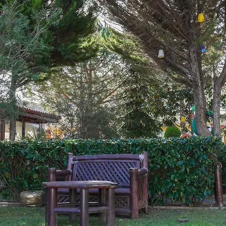 Butterfly Boutique Hotel *