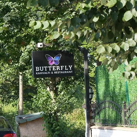 Butterfly Boutique *