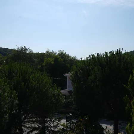 Butterfly Boutique Hotel